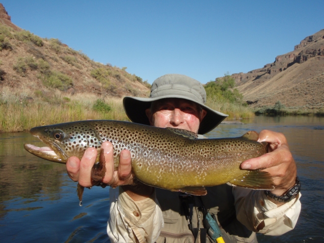 20 inch + fish on #20 dry fly