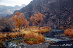 Fishing on the Owyhee River